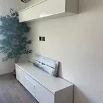 Marina Bajondillo Renoved Wifi 20 Meters From The Torremolinos